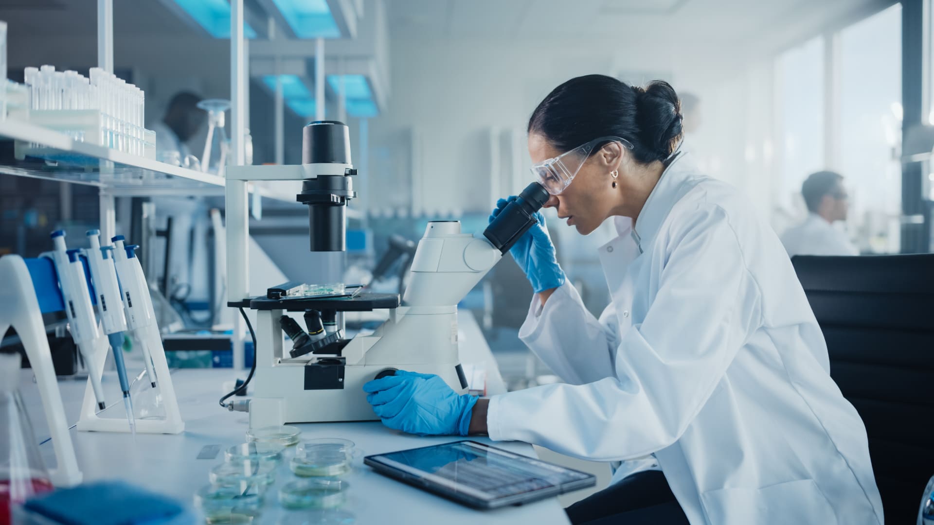 Organische und anorganische Chemie