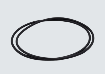 Ø250 O-Ring für Türhebel