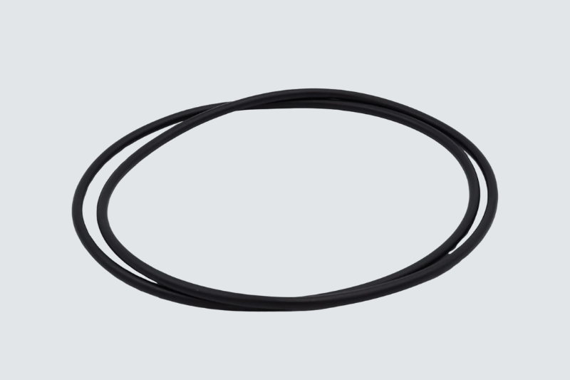 Ø250 O-Ring für Türhebel